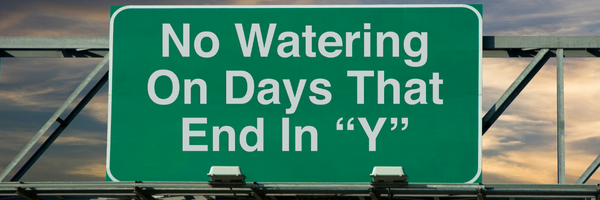 15 Days No outdoor watering 