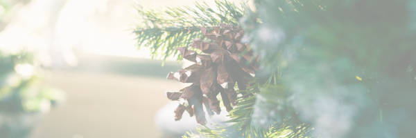 Storage tips for your fake tree 