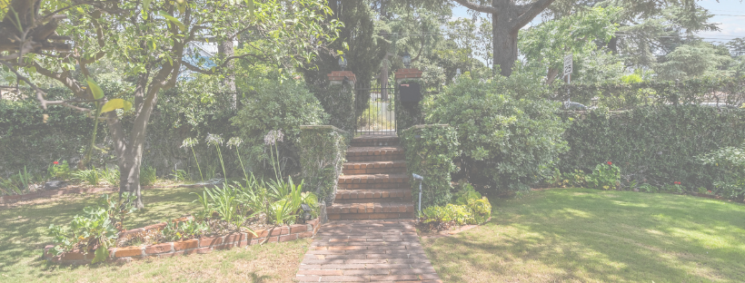 Fun Facts, Schools Trails and More 