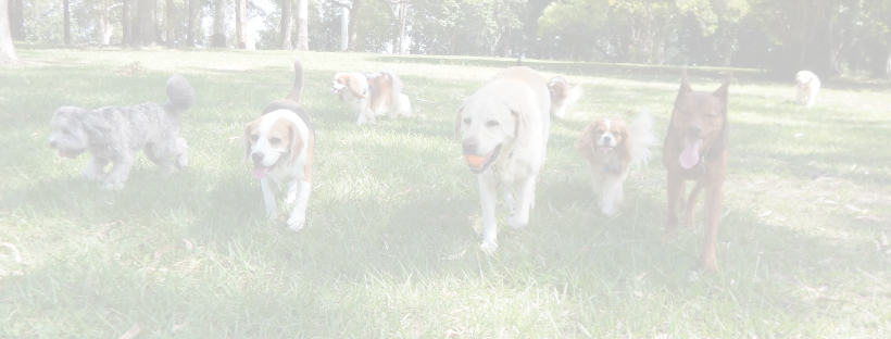 Explore My New Listing on Mills Ave. 