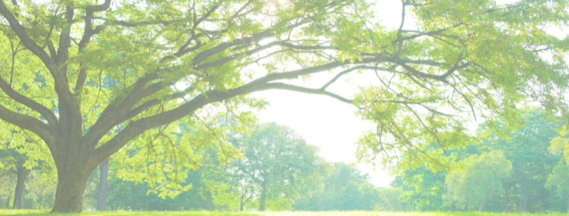 Sept. 12 Weekend Fun 