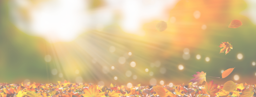 Fun fall Facts and events 