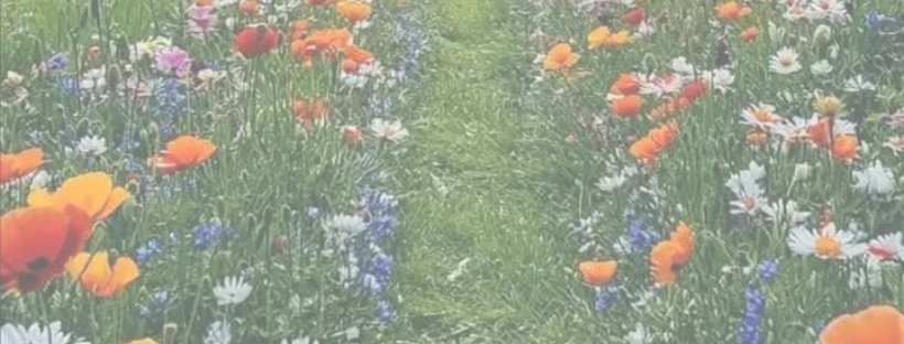 Good stuff you missed 