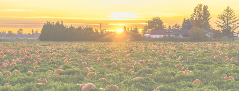 But Should We Stop Changing the Clock? 