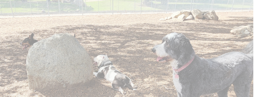 A local point of view 