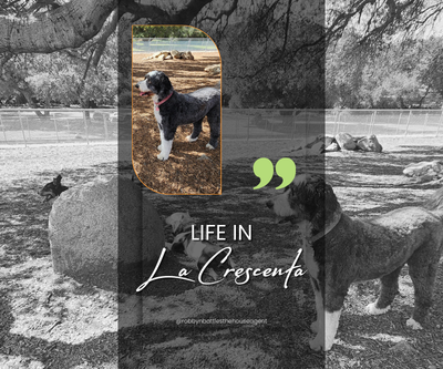 Living in La Crescenta