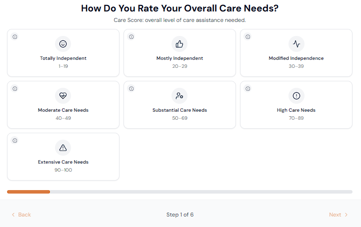 long term care planning before crisis care assessment tool online care assessment tool interface showing care needs evaluation as part of long term care planning before crisis
