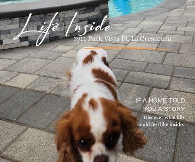 Blog Featured Image